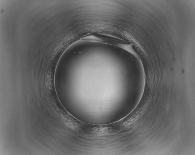 X0000068840497200605051305