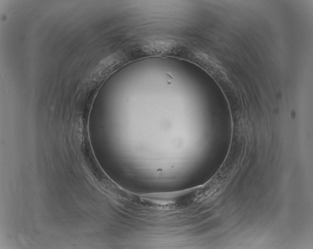 X0000068840498200605051305