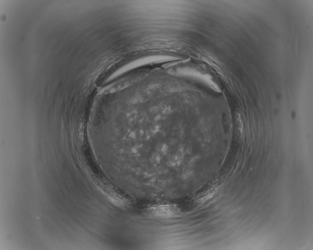 X0000068840499200605051305