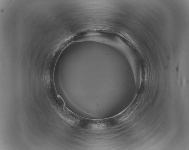 X0000068840500200605051305