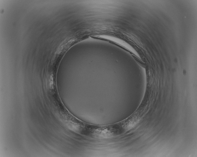 X0000068840502200605051305