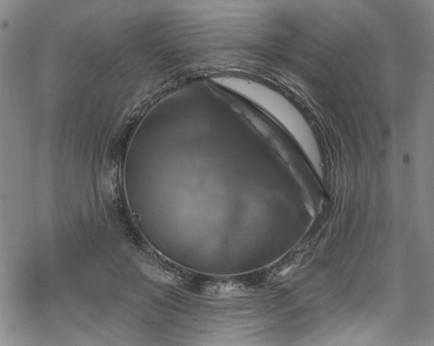 X0000068840503200605051305