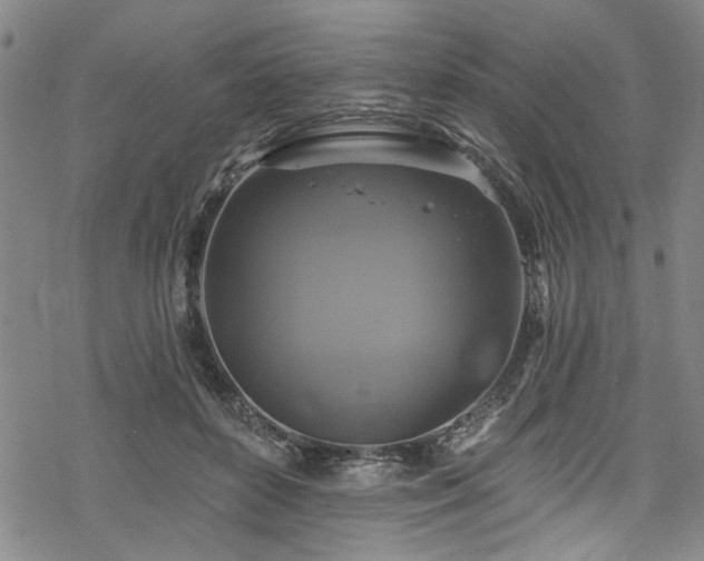 X0000068840504200605051305