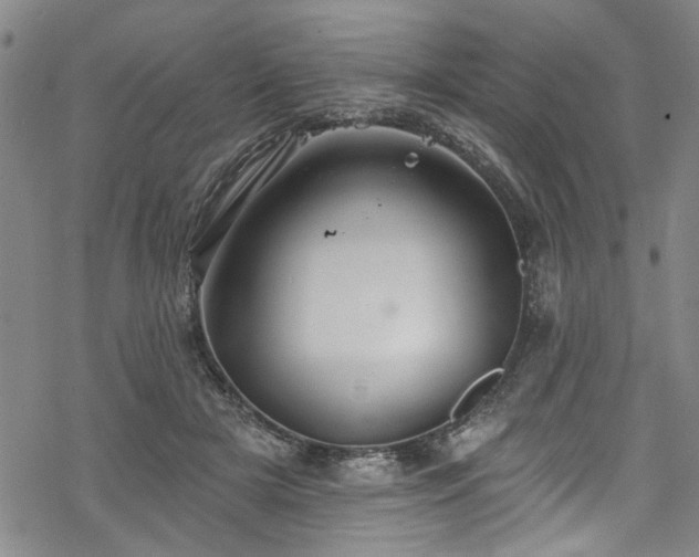 X0000068840505200605051305