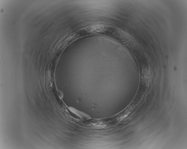 X0000068840506200605051305