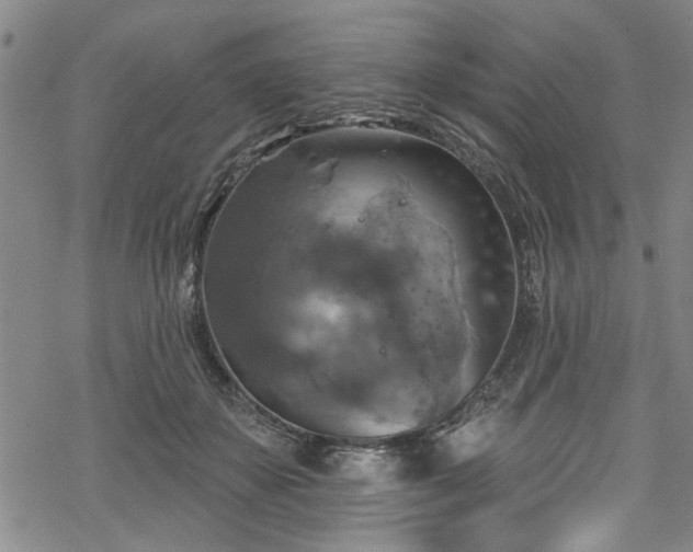 X0000068840507200605051305