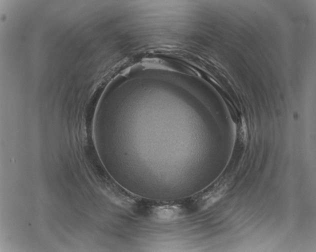 X0000068840508200605051305