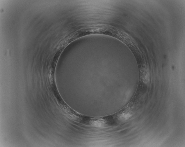 X0000068840510200605051305