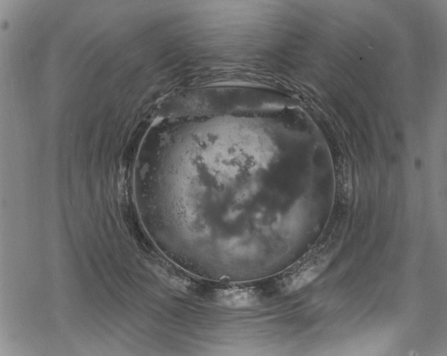 X0000068840511200605051305