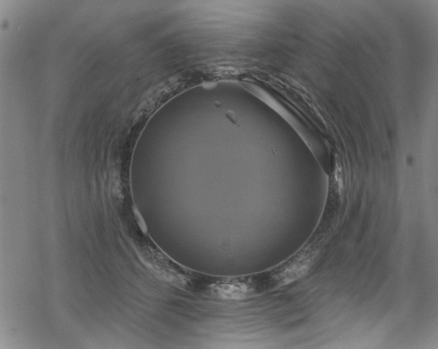 X0000068840512200605051305