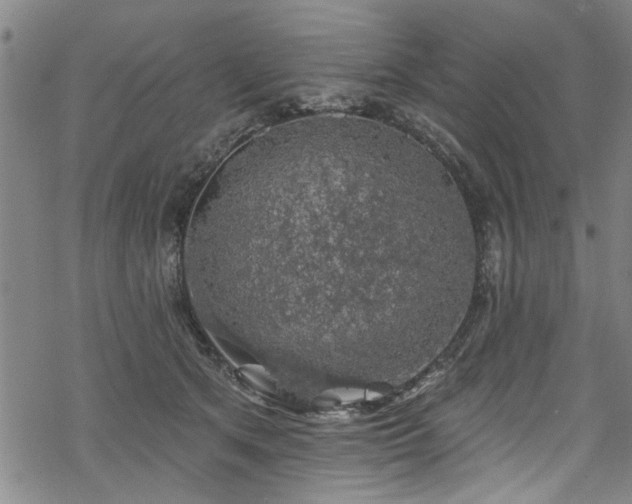 X0000068840513200605051305