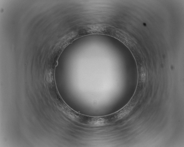 X0000068840514200605051305