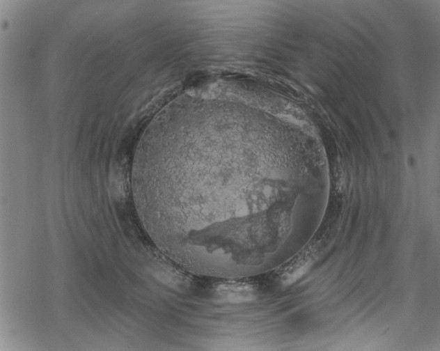 X0000068840515200605051305