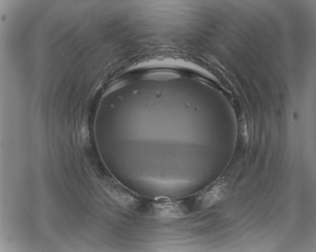 X0000068840516200605051305