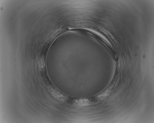 X0000068840517200605051305