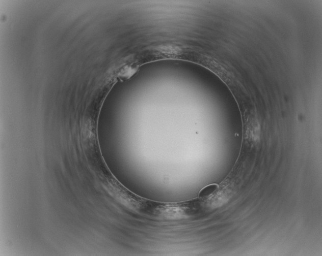 X0000068840518200605051305