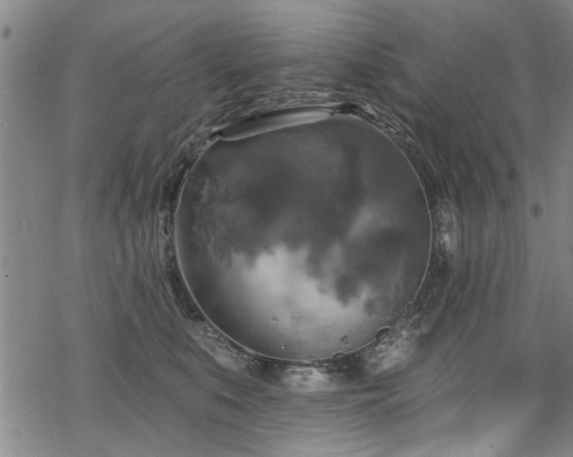 X0000068840519200605051305