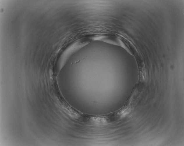 X0000068840520200605051305