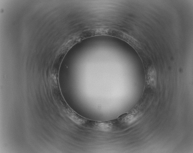 X0000068840522200605051305