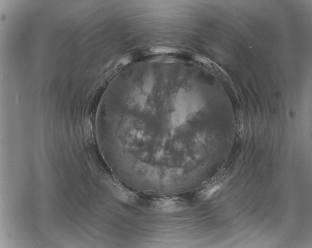 X0000068840523200605051305