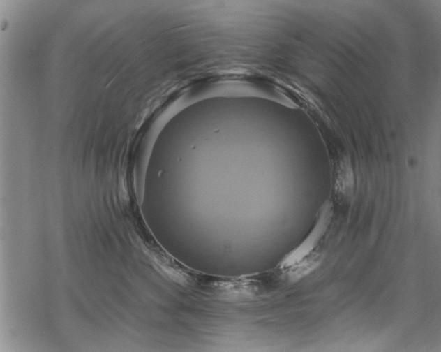 X0000068840524200605051305