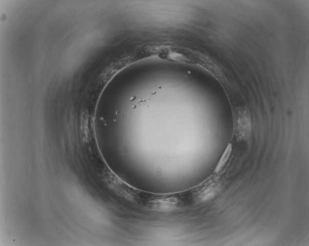 X0000068840525200605051305