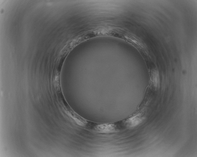 X0000068840526200605051305