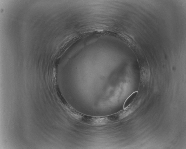 X0000068840527200605051305