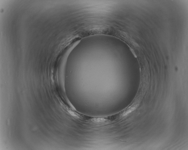 X0000068840528200605051305