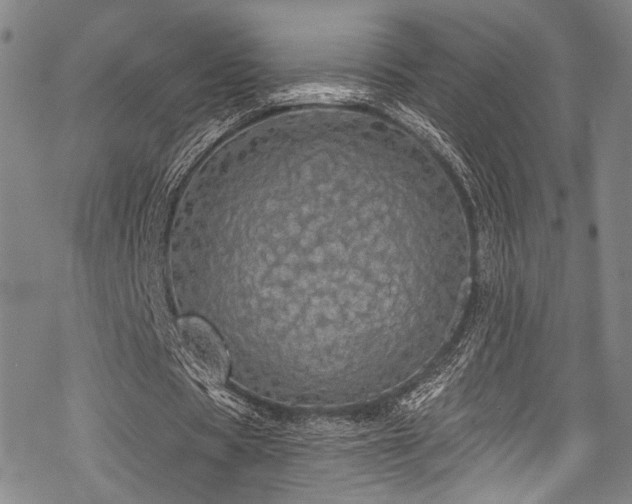 X0000068840529200605051304