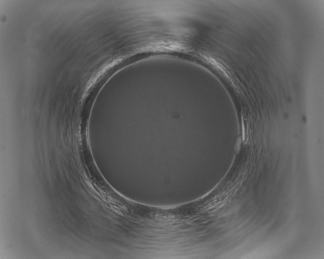 X0000068840531200605051304