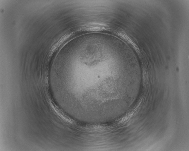 X0000068840533200605051304