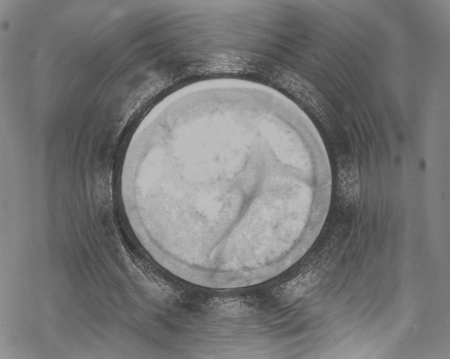 X0000068840534200605051304