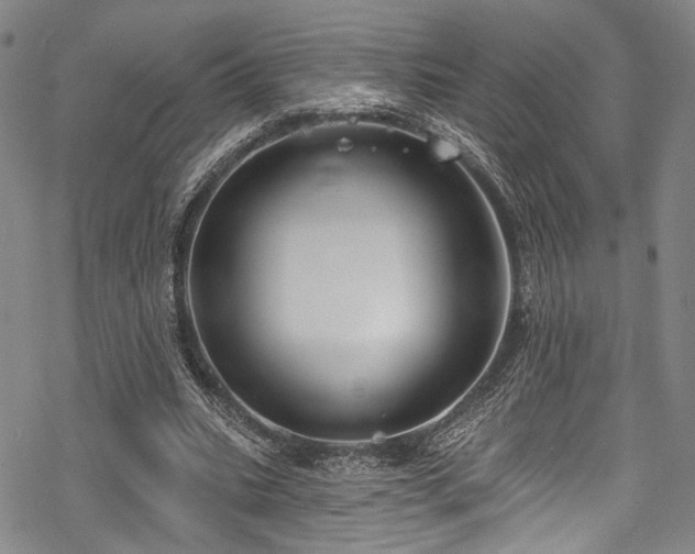 X0000068840535200605051304