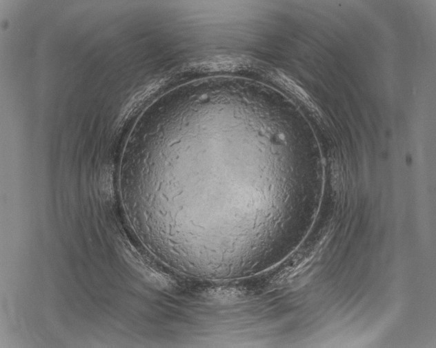 X0000068840537200605051304