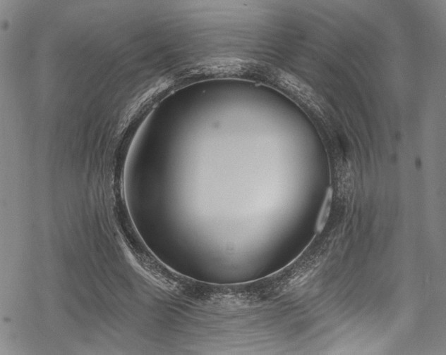 X0000068840538200605051304