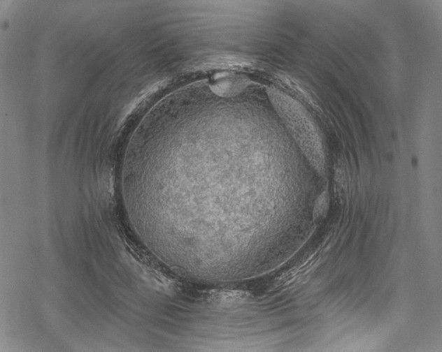 X0000068840539200605051304