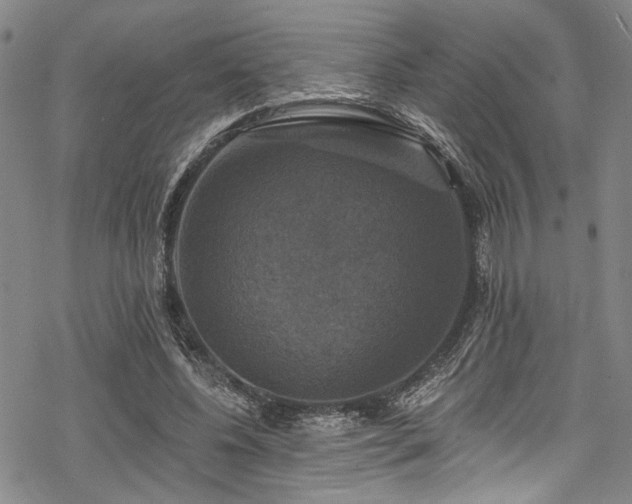 X0000068840540200605051304