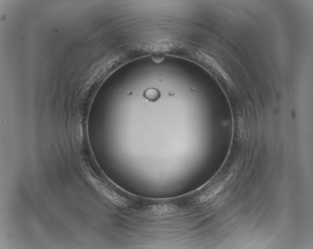 X0000068840541200605051304