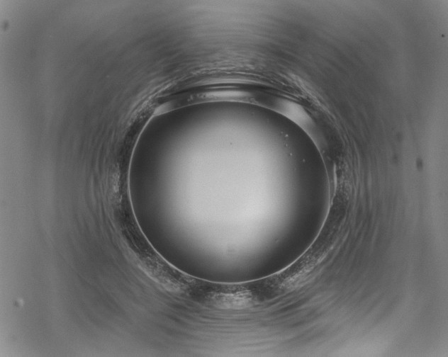 X0000068840548200605051304