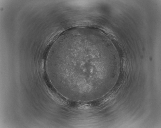 X0000068840550200605051304