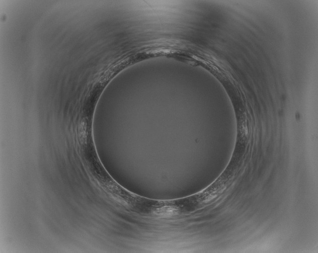 X0000068840551200605051304