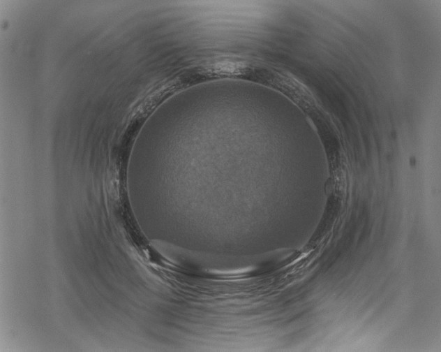 X0000068840552200605051304