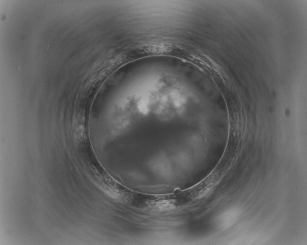 X0000068840553200605051304