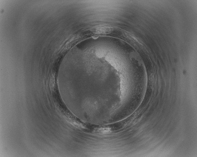 X0000068840554200605051304