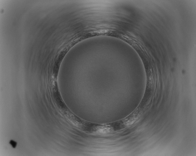 X0000068840555200605051304