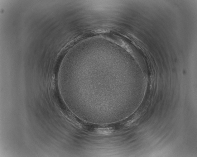 X0000068840556200605051304