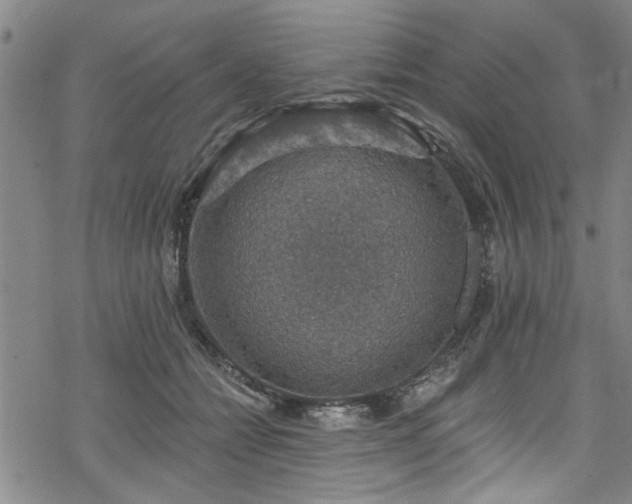 X0000068840558200605051304