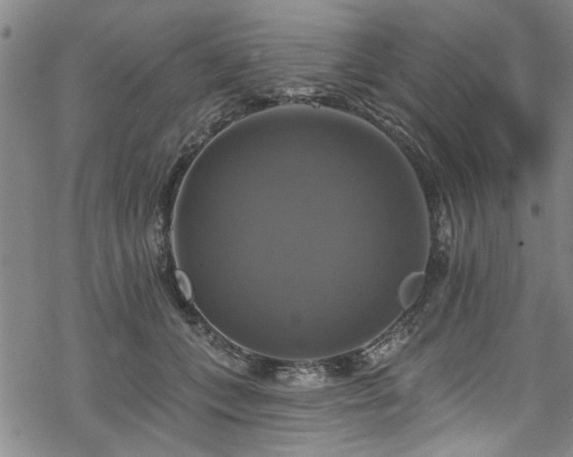 X0000068840559200605051304