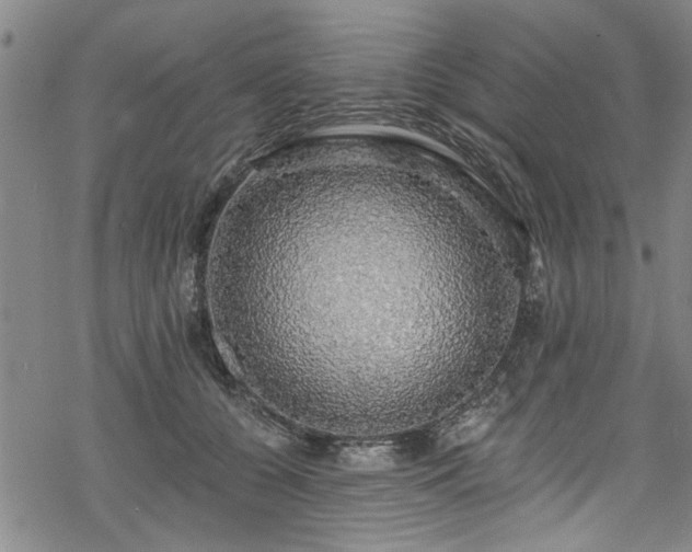 X0000068840560200605051304